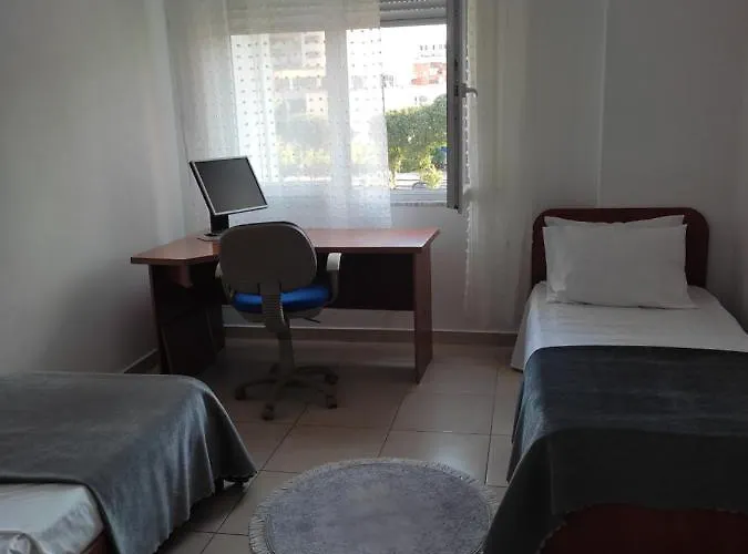 Comfy Center * Shkodër